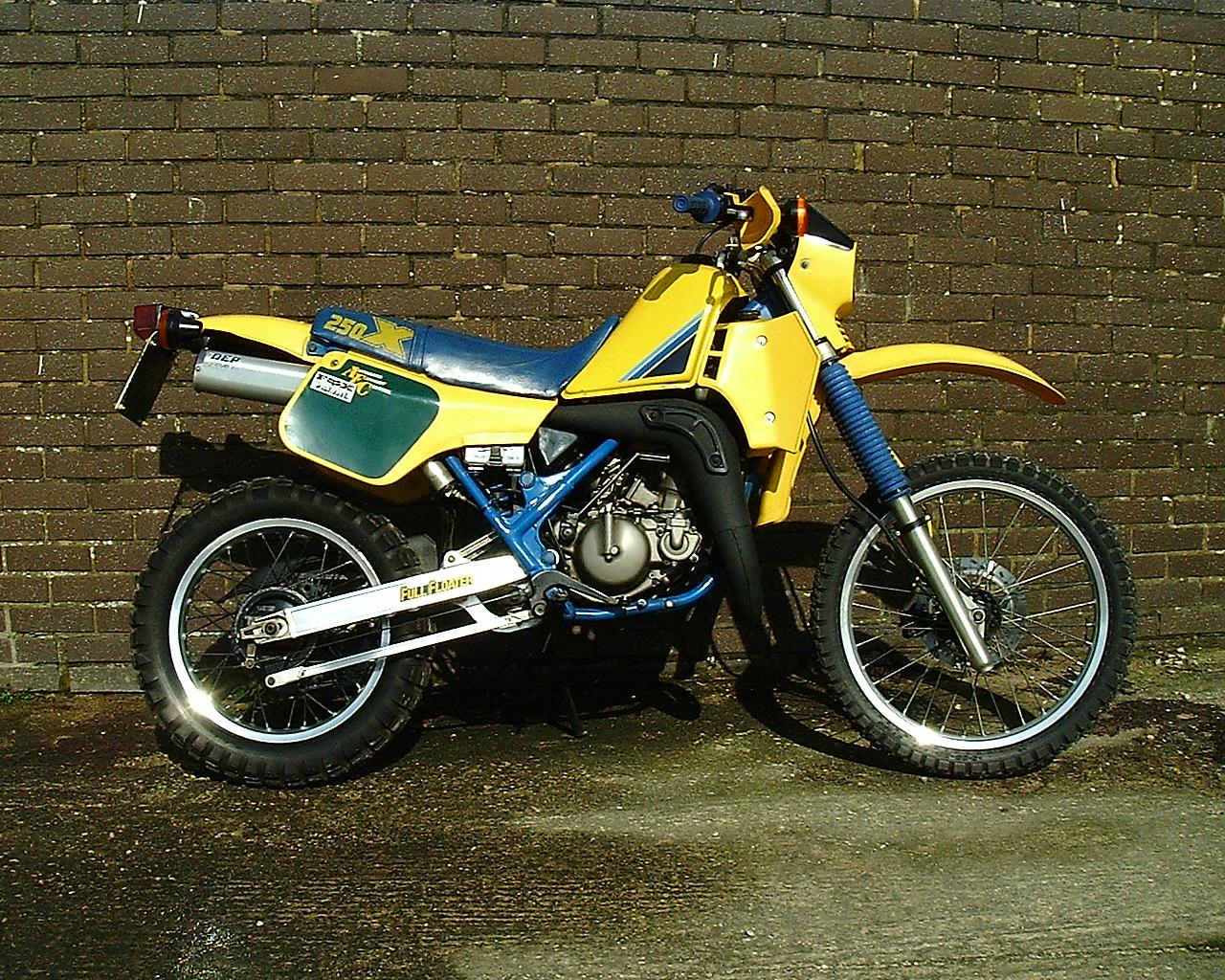 TS 250 X  a.jpg