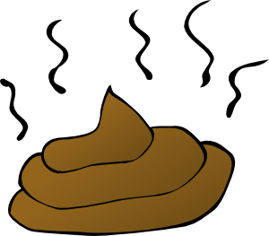 crap-clipart-11971498111217377622nicubunu_Feces.svg.med.png