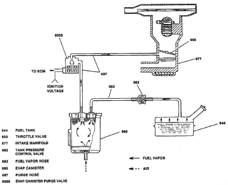 Vitara evap system.jpg